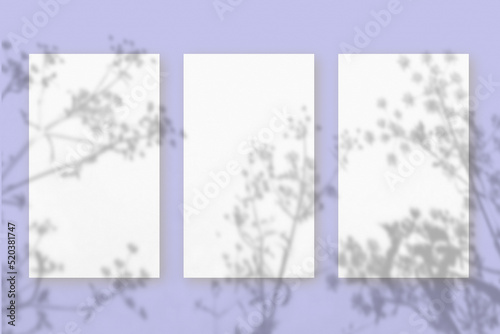 Natural light casts shadows from wildflowers of 3 vertical sheets of white textured paper against a violet wall background. Mock up with an overlay of plant shadows