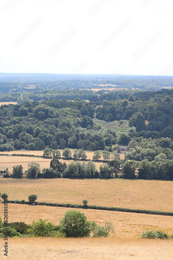 Vertical image of English countryside with parched fields in foreground