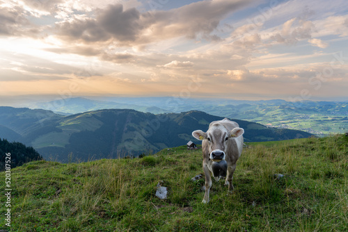Wandern im Albstein / Schweiz photo