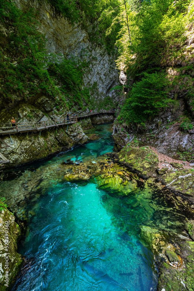 Beautiful view of the turquoise transparent stream water in Vintgar Gorge near Lake Bled in summer, Upper Carniola, Slovenia Beautiful view of the turquoise transparent stream water in Vintgar Gorge near Lake Bled in summer, Upper Carniola, Slovenia