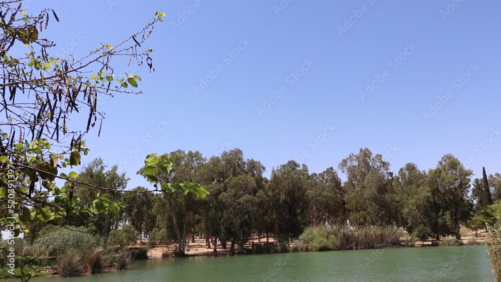 A lake of fresh water from the Yarkon River in the Ein Afek Nature Reserve in Gush Dan - Israel A lake of fresh water from the Yarkon River in the Ein Afek Nature Reserve in Gush Dan - Israel