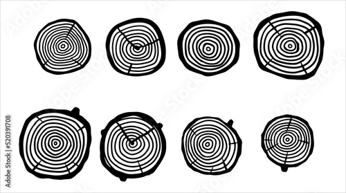 Cut tree trunk. Stump cross section. Concentric circular pattern on wood