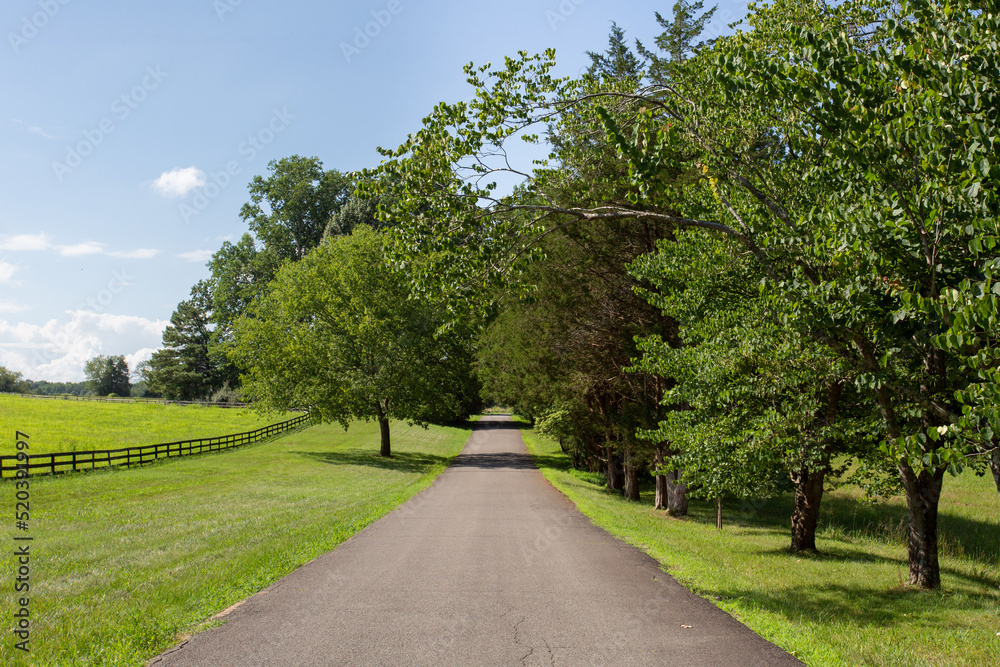 Countryside road summer green scenery blue sky wood fence