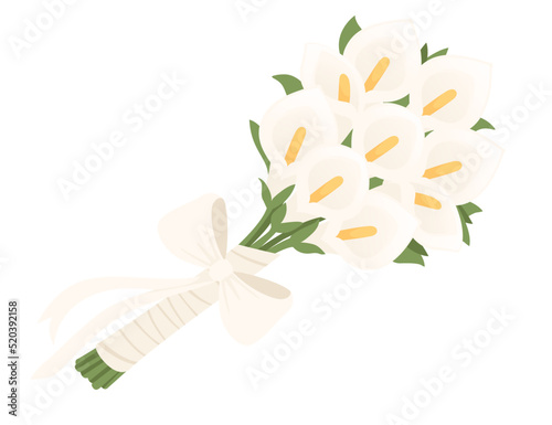 Bouquet of calla flowers wrapped in paper with a white ribbon vector illustration isolated on white background