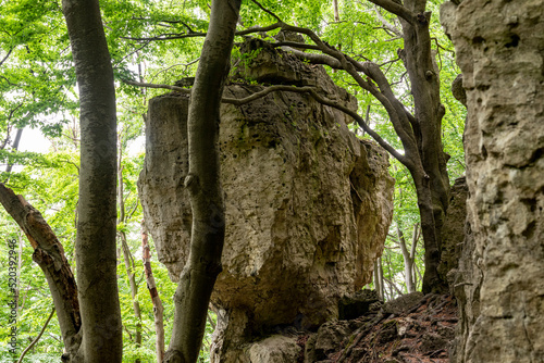 Close-up of one of the stunning limestone rock formations along the "Ith-Hils-Weg" long distance hiking trail, near Holzen, Weserbergland, Germany