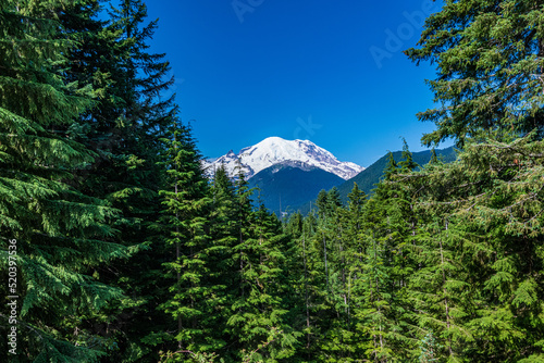 Mt. Ranier from Mather Memorial Parkway photo