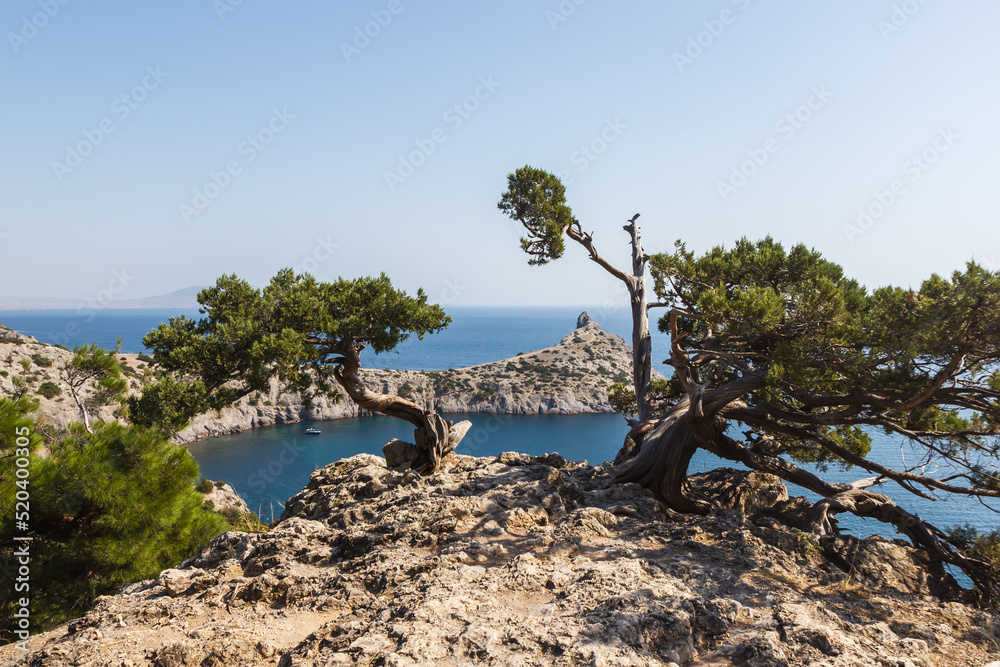 View of the rocks of the Black Sea from the Golitsyn trail