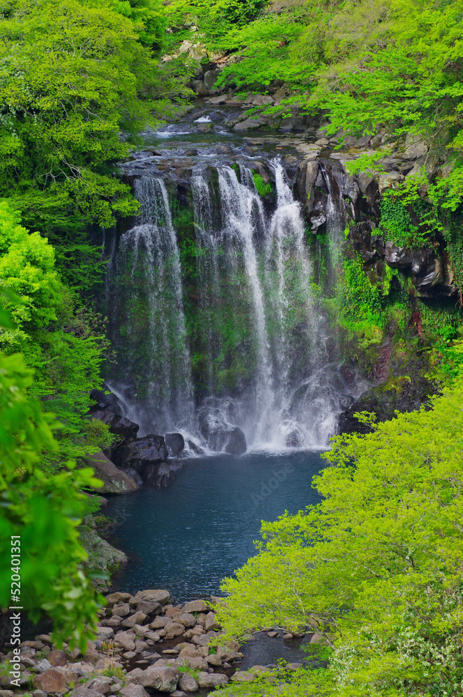 waterfall in the forest