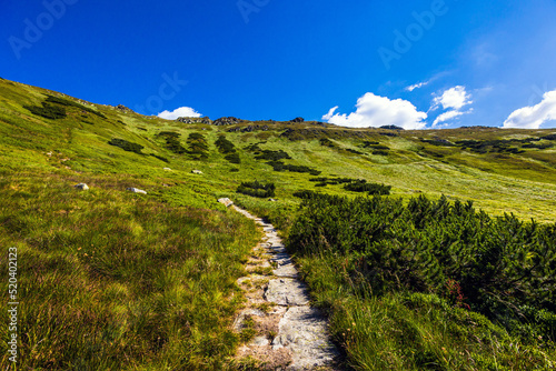 Fototapeta Naklejka Na Ścianę i Meble -  Slovakian Chopok Low Tatra landscape