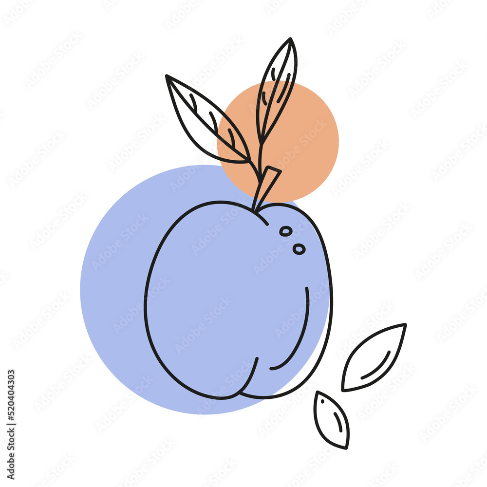 Outline vector illustration of a plum with pits, abstract color in the form of a spots. Hand drawn badge and symbol for printing on baby clothes, textile design, design for grocery store, menu, for Outline vector illustration of a plum with pits, abstract color in the form of a spots. Hand drawn badge and symbol for printing on baby clothes, textile design, design for grocery store, menu, for