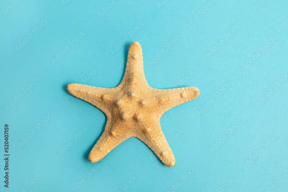 Starfish on blue background. Minimal summer concept. Starfish on blue background. Minimal summer concept.