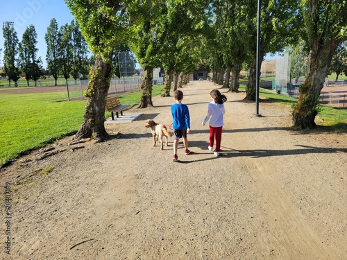 kids walking a dog