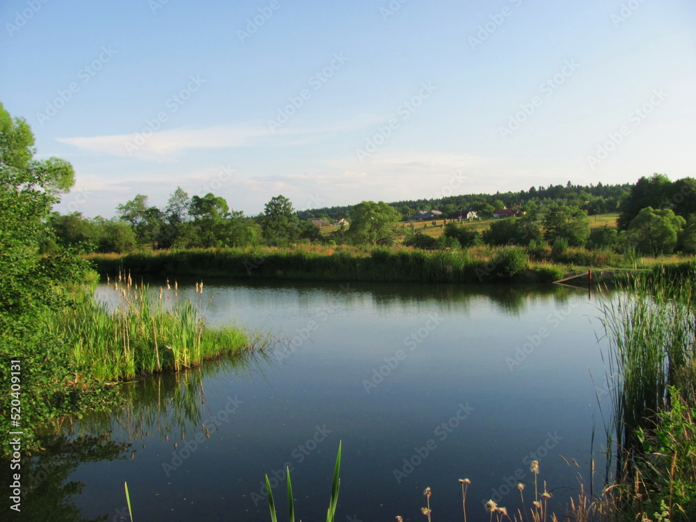 A beautiful pond in the village