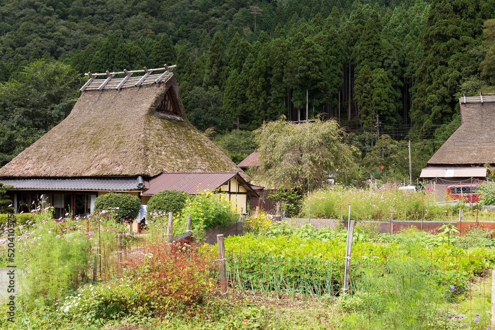 Traditional thatched roof houses in small village of Miyama of Kyoto in Japan