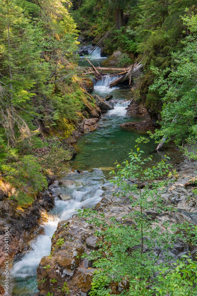 Landscape of Panther Creek as it Cascades Down in Stairsteps in Mount Rainier National Park
