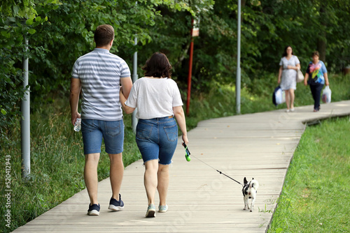 Fototapeta Naklejka Na Ścianę i Meble -  Couple in jeans shorts walking a dog in summer park. Care for a pet, family leisure on nature
