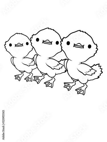 Team 3 Entenküken Freunde 