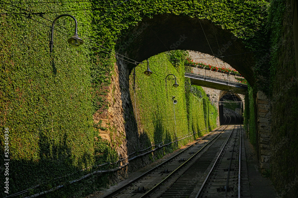 Tory kolejowe w zielonym tunelu - obrazy, fototapety, plakaty 