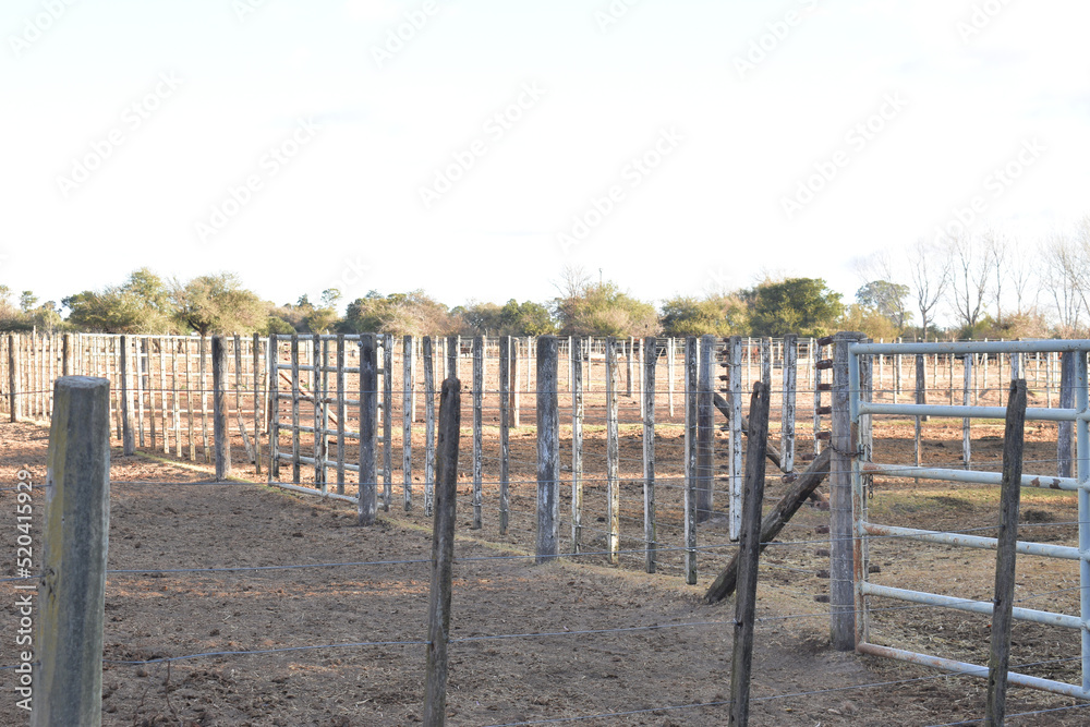 wooden doors of a cow corral wooden doors of a cow corral