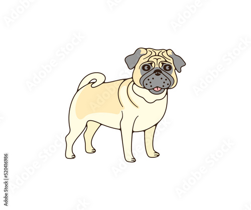 Pug with wrinkled muzzle  dog  logo design. Animal  pet  pet shop and veterinary clinic  vector design and illustration