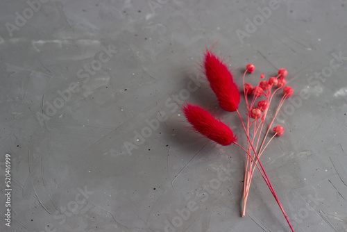 Red dried flowers of lagurus and linen on the concrete table. Home decoration.