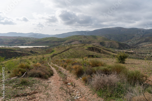 almond cultivation in southern spain