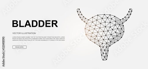 Bladder 3d low poly symbol for landing page template. Reproductive system design illustration. Polygonal Organ illustration for homepage design