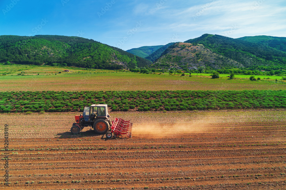 Obraz premium Tractor cultivating the ground in a agricultural field. Cultivate, agriculture and farming concept.