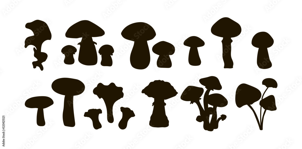 Set of boletus, oyster mushrooms, porcini mushrooms, russula, toadstool, fly agaric, boletus mushrooms, chanterelle mushrooms, honey agarics drawn in black silhouette. Vector Set of boletus, oyster mushrooms, porcini mushrooms, russula, toadstool, fly agaric, boletus mushrooms, chanterelle mushrooms, honey agarics drawn in black silhouette. Vector
