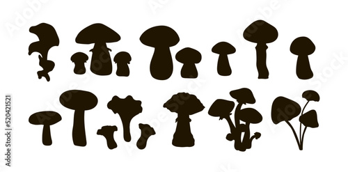 Set of boletus, oyster mushrooms, porcini mushrooms, russula, toadstool, fly agaric, boletus mushrooms, chanterelle mushrooms, honey agarics drawn in black silhouette. Vector