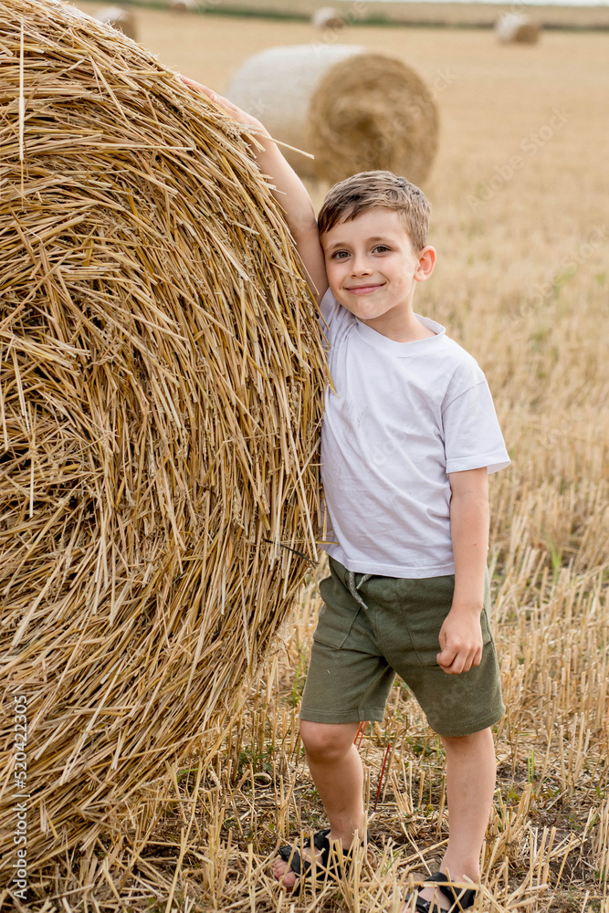 A cute little boy in a white t-shirt and khaki shorts is standing near round bales of hay. Photo session in the field A cute little boy in a white t-shirt and khaki shorts is standing near round bales of hay. Photo session in the field