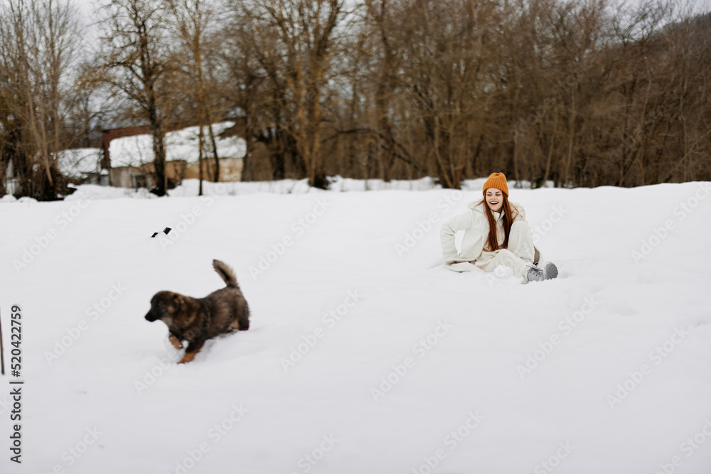 portrait of a woman outdoors in a field in winter walking with a dog Lifestyle portrait of a woman outdoors in a field in winter walking with a dog Lifestyle