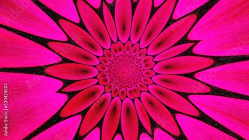 Abstract Flower Pattern
