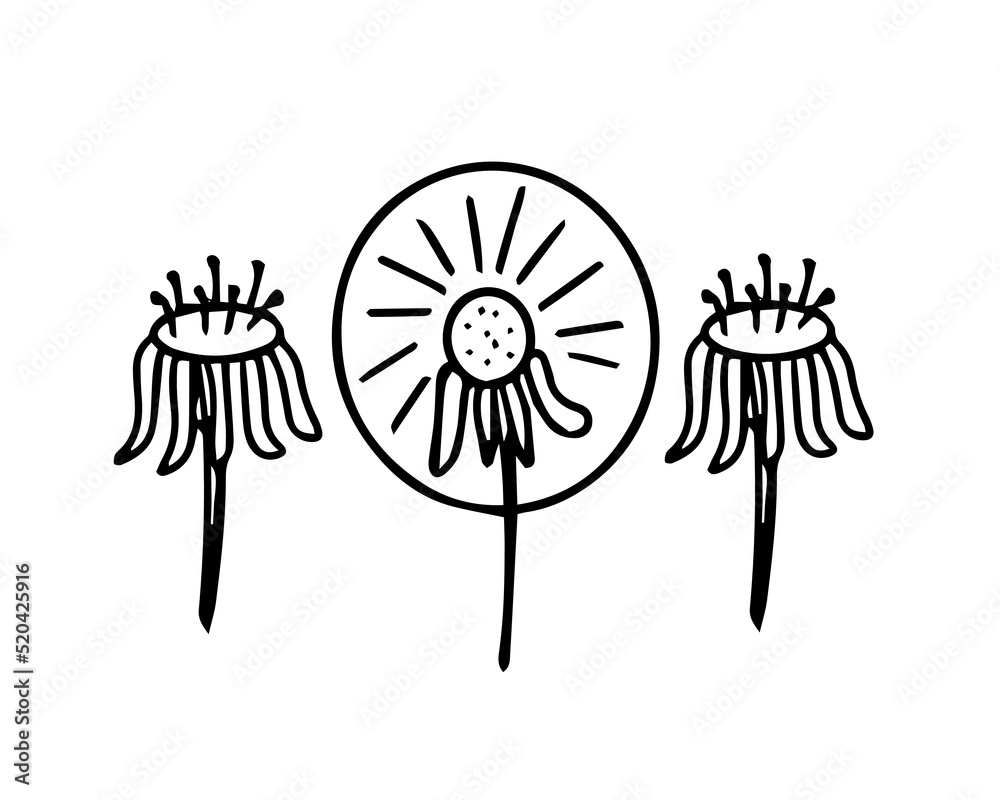 Dandelion with flying seeds, flower. Vector Illustration for printing, backgrounds, covers, packaging, greeting cards, posters, stickers, textile and seasonal design. Isolated on white background Dandelion with flying seeds, flower. Vector Illustration for printing, backgrounds, covers, packaging, greeting cards, posters, stickers, textile and seasonal design. Isolated on white background