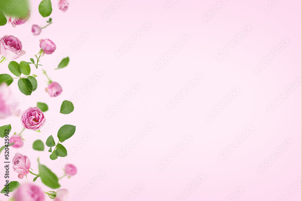 Pink background with roses and leaves