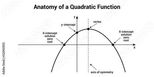 Anatomy of quadratic function. Parts of a parabola