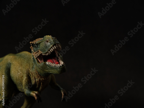 恐竜のフィギュア © makieni