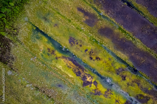 The swamp aerial photography.