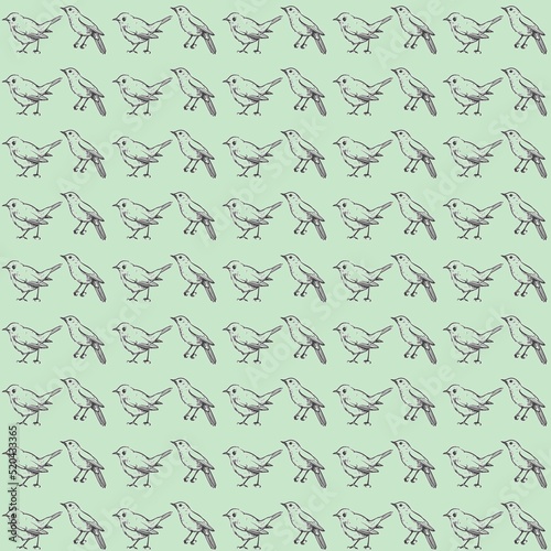 Fototapeta Naklejka Na Ścianę i Meble -  Nightingale bird drawing pattern background