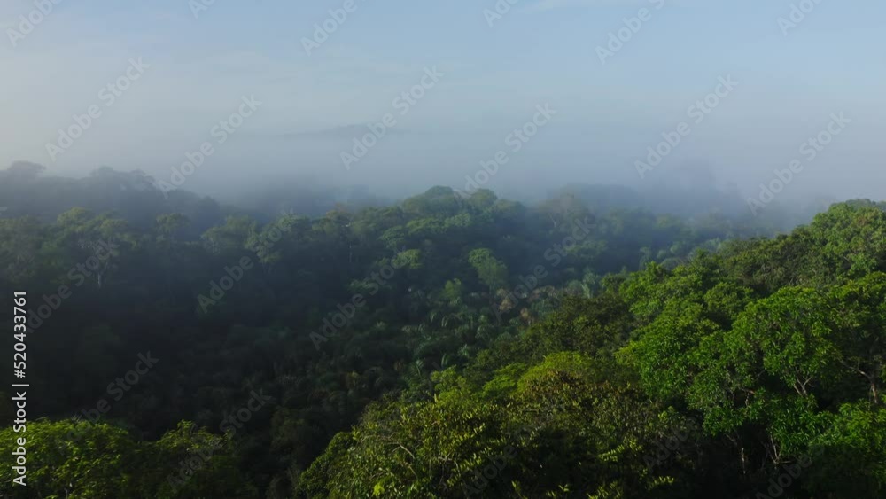 Aerial Drone View of Rainforest Canopy Above Treetops in Trees, Costa Rica Misty Tropical Jungle Scenery with Trees and Lush Green Landscape, High Up Establishing About Climate Change Aerial Drone View of Rainforest Canopy Above Treetops in Trees, Costa Rica Misty Tropical Jungle Scenery with Trees and Lush Green Landscape, High Up Establishing About Climate Change