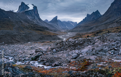 Wild Weasel river winds through remote arctic valley of Akshayuk Pass, Baffin Island, Canada on a cloudy day. Dramatic arctic landscape with Mt. Breidablik and Mt. Thor. Autumn colors in the arctic.