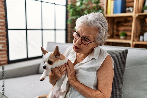 Senior grey-haired woman smiling confident holding chiuahua sitting on sofa at home photo