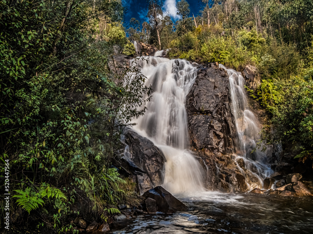 Fototapeta premium Steavenson Falls