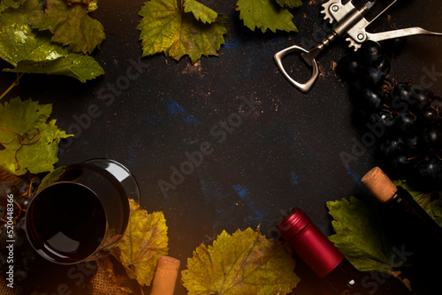 Red wine Cabernet Franc in  glass on  dark background with autumn grape leaves, top view