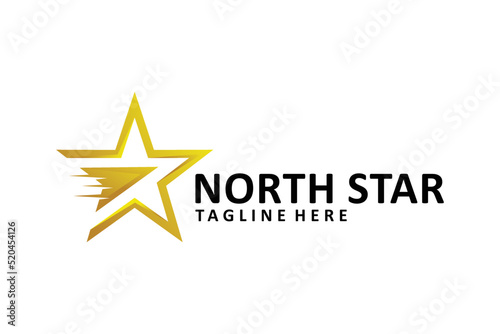 star logo design vector isolated