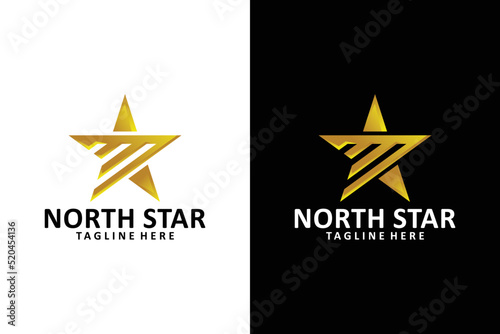 star logo design vector isolated