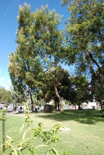 spring in the park