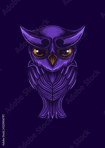 owl in the night