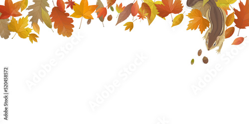 Autumn leaves background with chipmunk. Vector illustration.