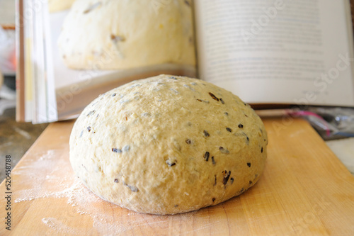 Artisinal Bread Dough photo